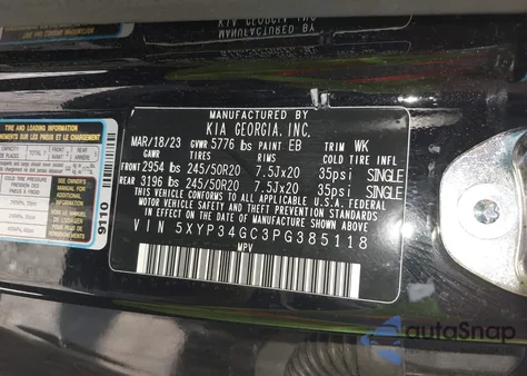 2023 Kia Telluride Ex from USA, damaged, VIN 5XYP34GC3PG385118